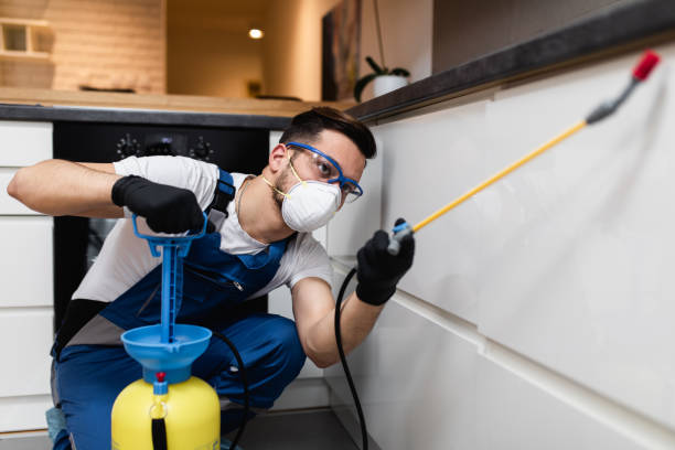Best Best Pest Control Companies  in Grant, MI