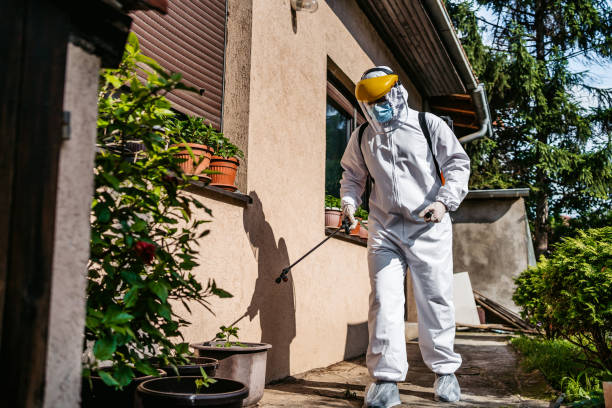 Best Affordable Pest Control Services  in Grant, MI
