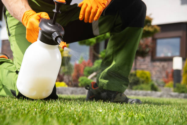 Best Pest Control for Businesses  in Grant, MI