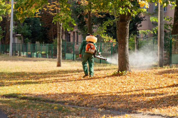 Best Affordable Pest Control Services  in Grant, MI