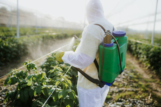 Wasp Removal Services in Grant, MI